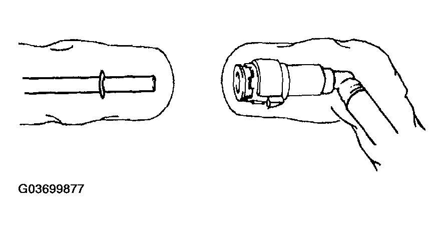 G03699877