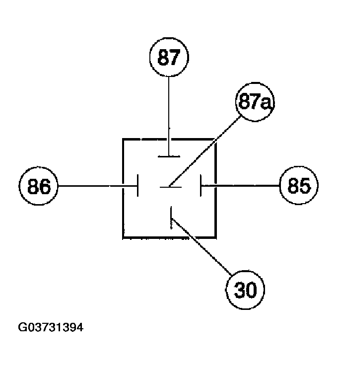 G03731394
