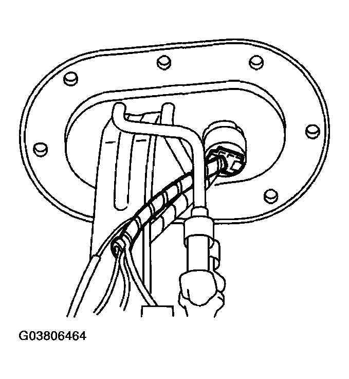 G03806464