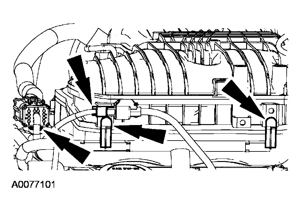 G04003890