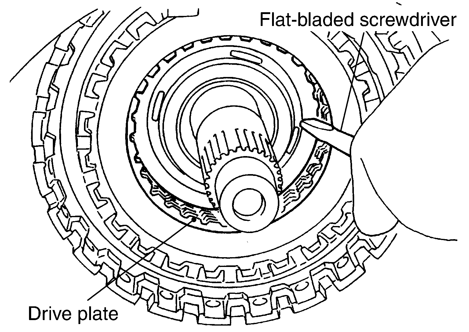 G04075954