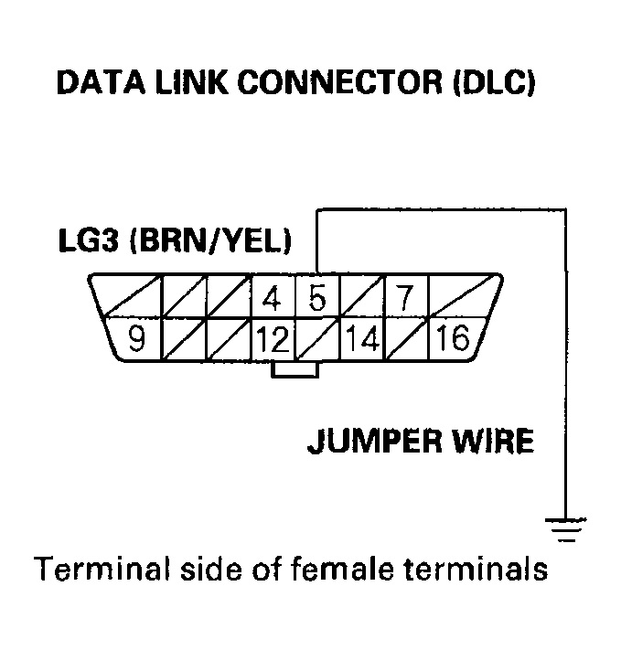 G04546036