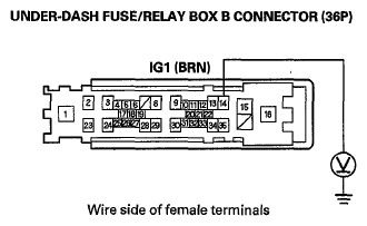G06429511