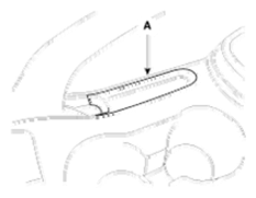 G06525135