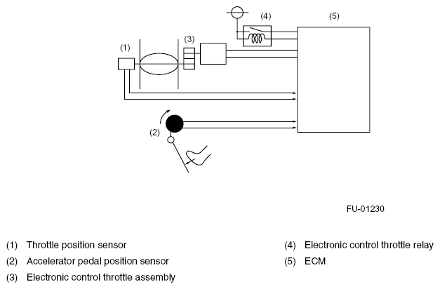 G08260686