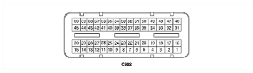 G09751245