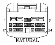 G11048433