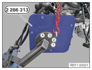 G11144286
