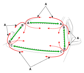 G11340910