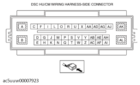 G11426981