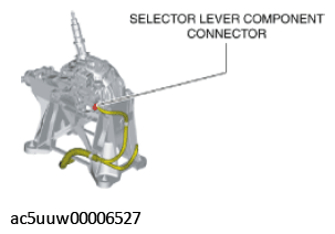 G11429221