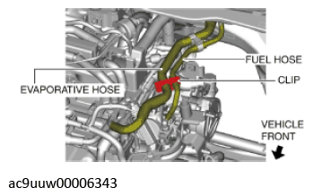 G11436671