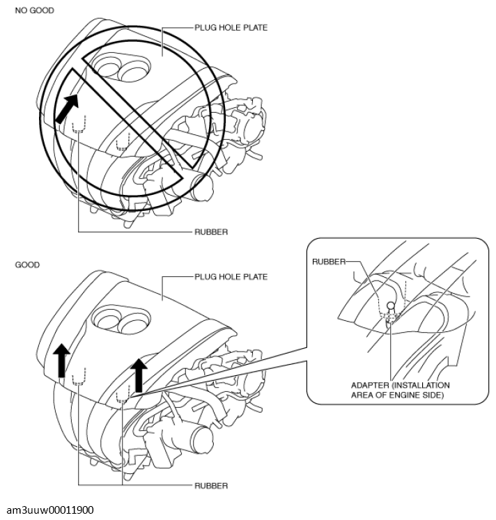 G11437288