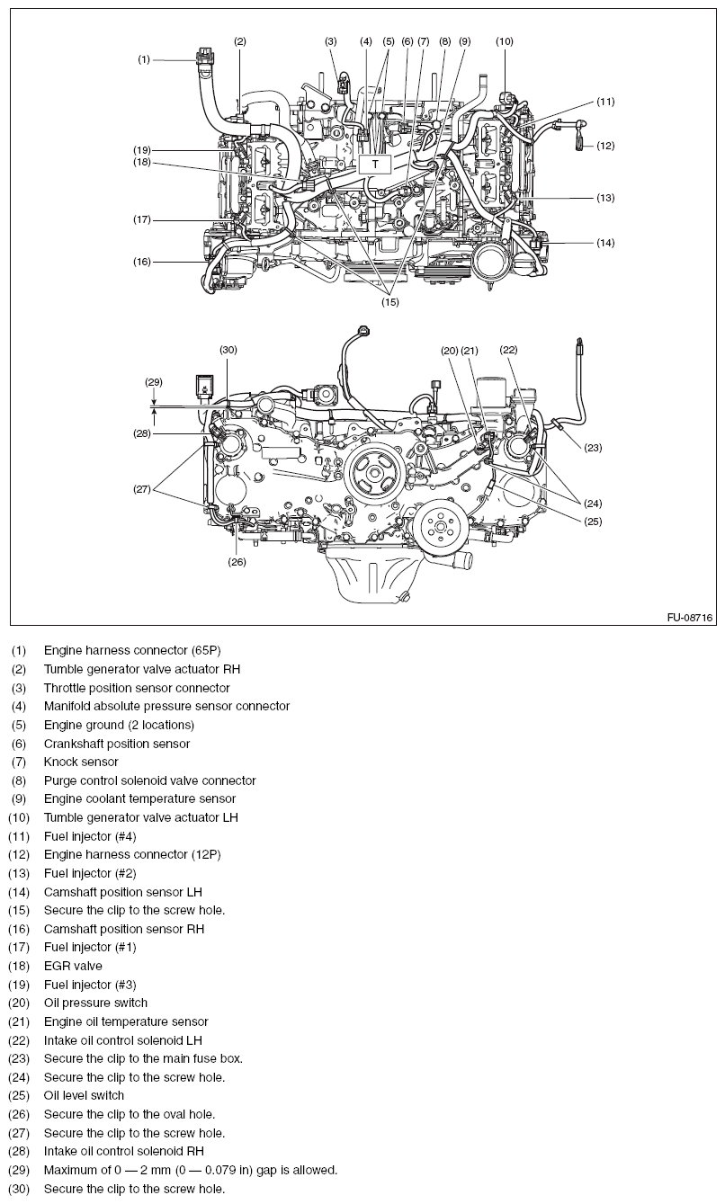 G11565946