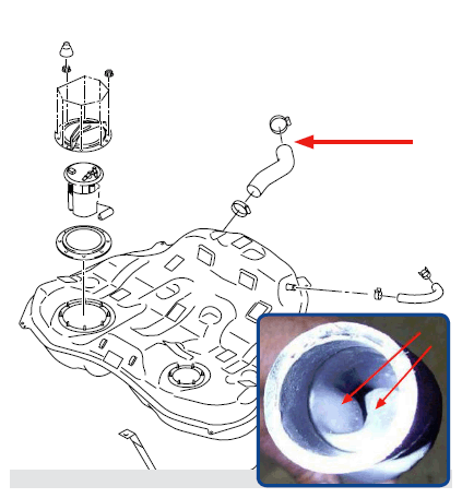 G11663211