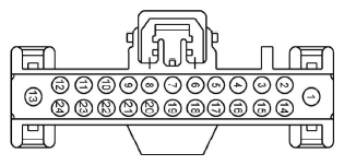 G11681599