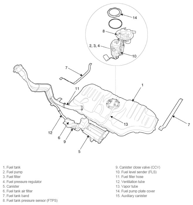 G11793962