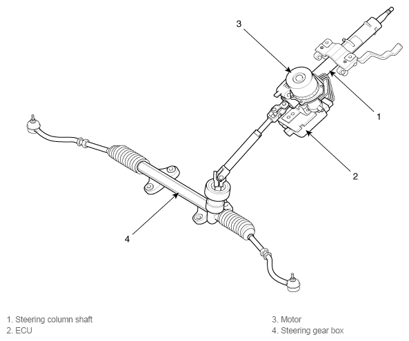G11795536