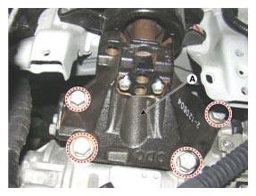 G11797097