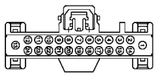 G11915621