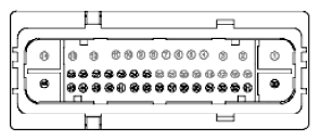 G11915923