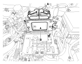 G11952480