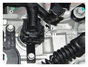 G11955811