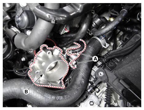 G12165581