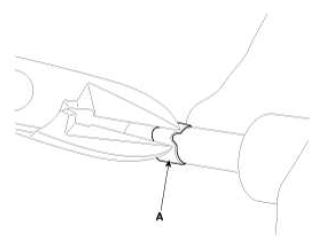 G12598558