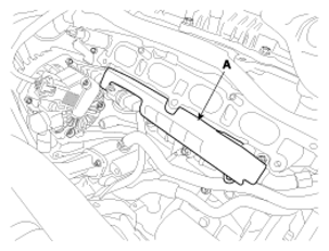 G12646516