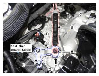 G12646989