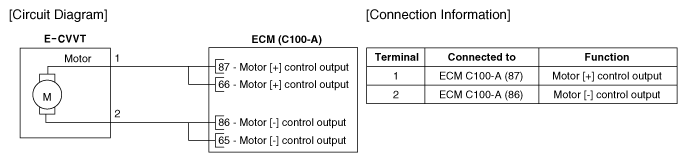 G12848629