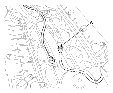 G12885608