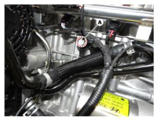 G12977081