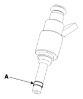 G13039489