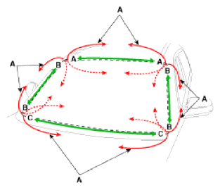 G13053968
