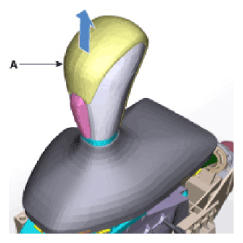 G13055967