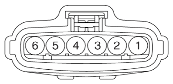 G13143285
