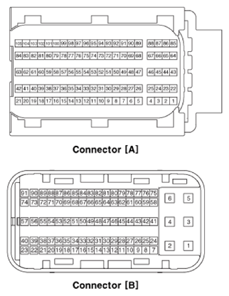 G13155681