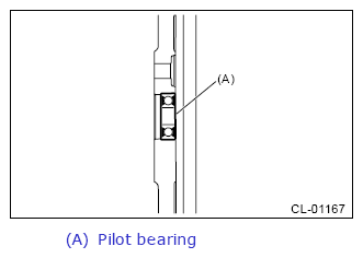 G13260672