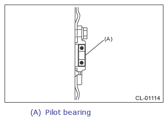 G13260675
