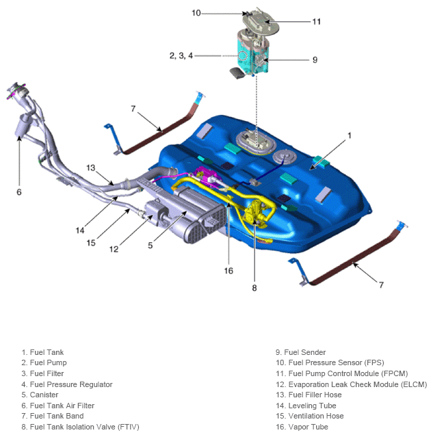 G13361791