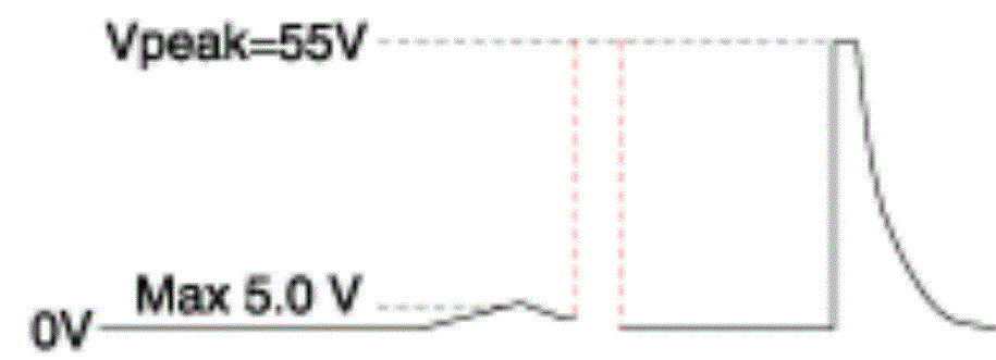 G13388032