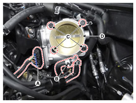 G13403384