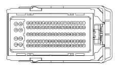 G13411061