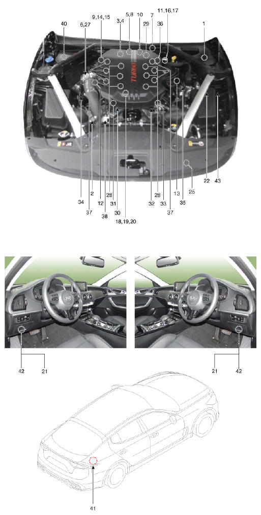 G13428091