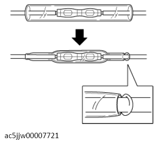 G13556055