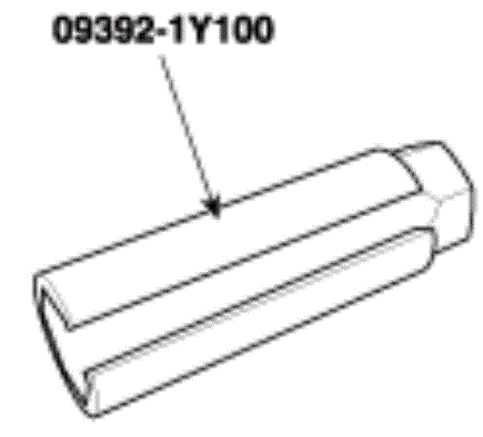 G13563019