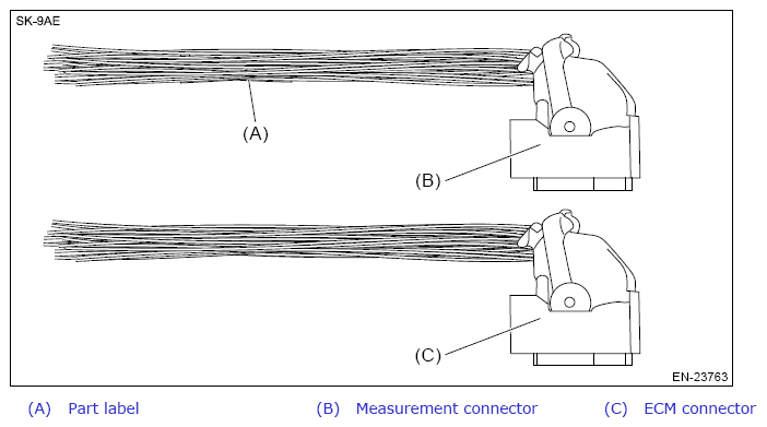G13607906