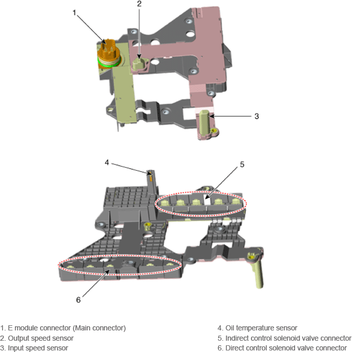 G14176269
